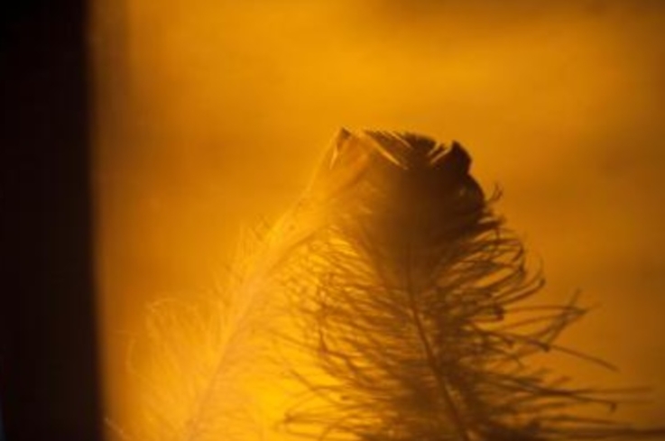 ZESPÓŁ RETTA: RZADKIE ZABURZENIE NEUROROZWOJOWE DZIEWCZYNEK