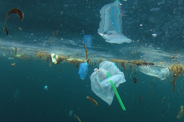 UNIJNA GOSPODARKA ODPADAMI – KIERUNEK NA GOZ (ANALIZA)