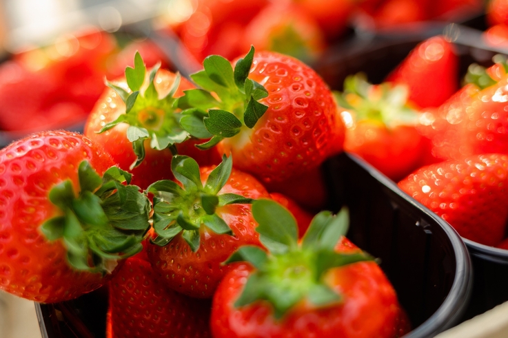 SZYPUŁKA PRAWDĘ NAM POWIE