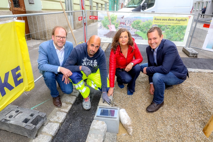 JAK RATOWAĆ DRZEWA W MIEŚCIE? INNOWACYJNY SYSTEM NAWADNIANIA WDROŻONO W WIEDNIU