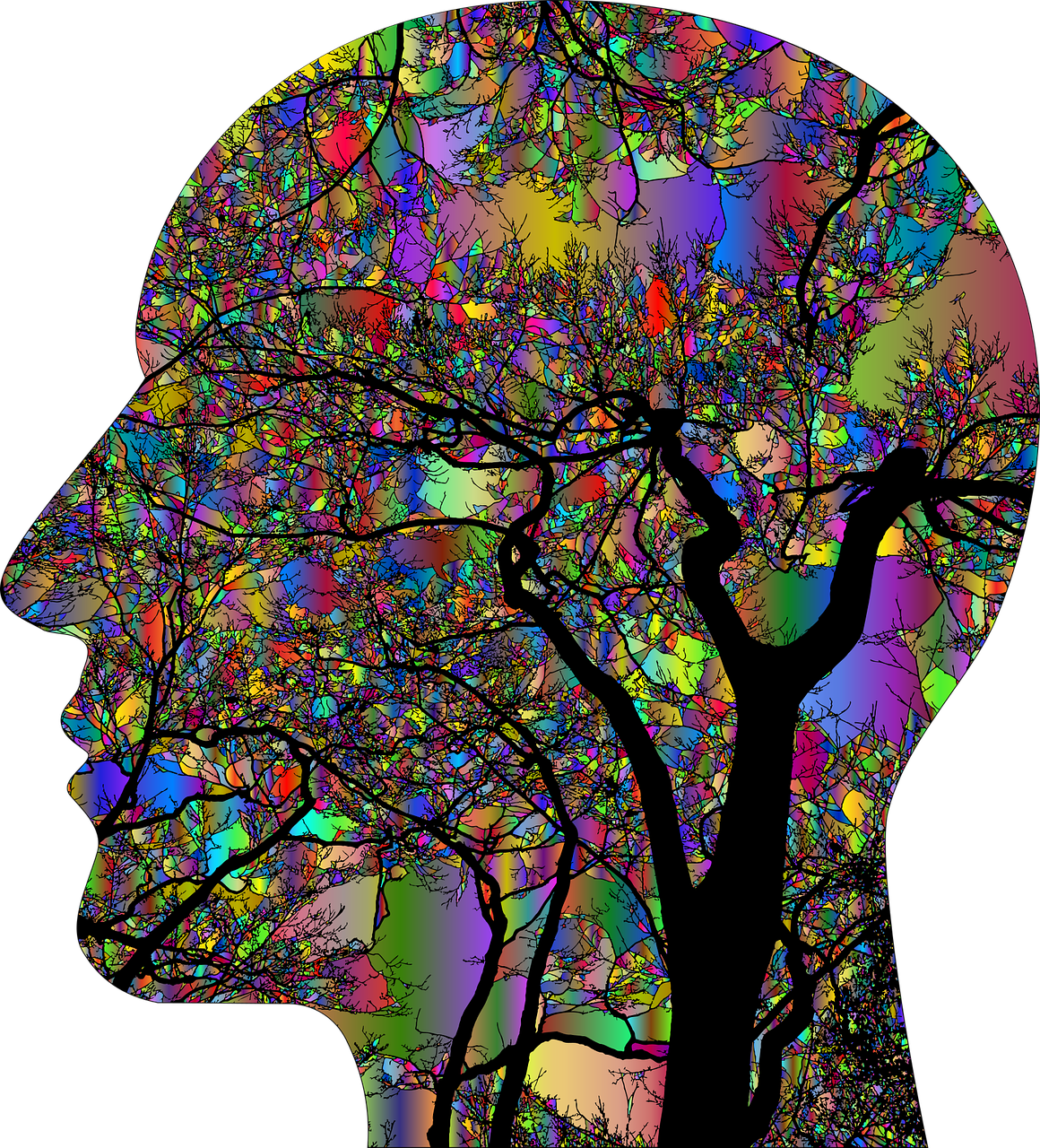 TROPY POKAZUJĄCE, SKĄD I JAK SIEJE SIĘ ZNISZCZENIE MÓZGU W PSYCHOZIE
